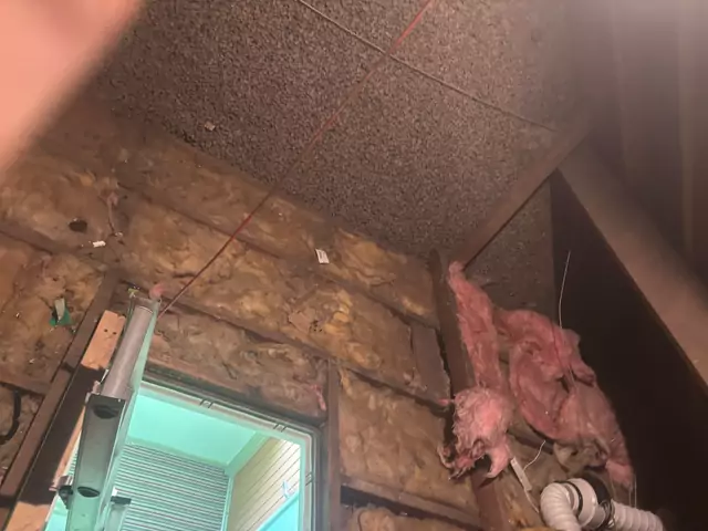 Before: thin old insulation around the hatch
